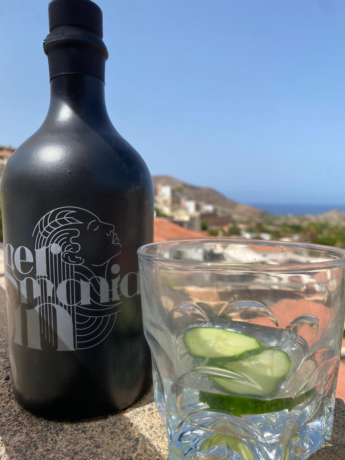 Germania Gin ab 50 Vol%