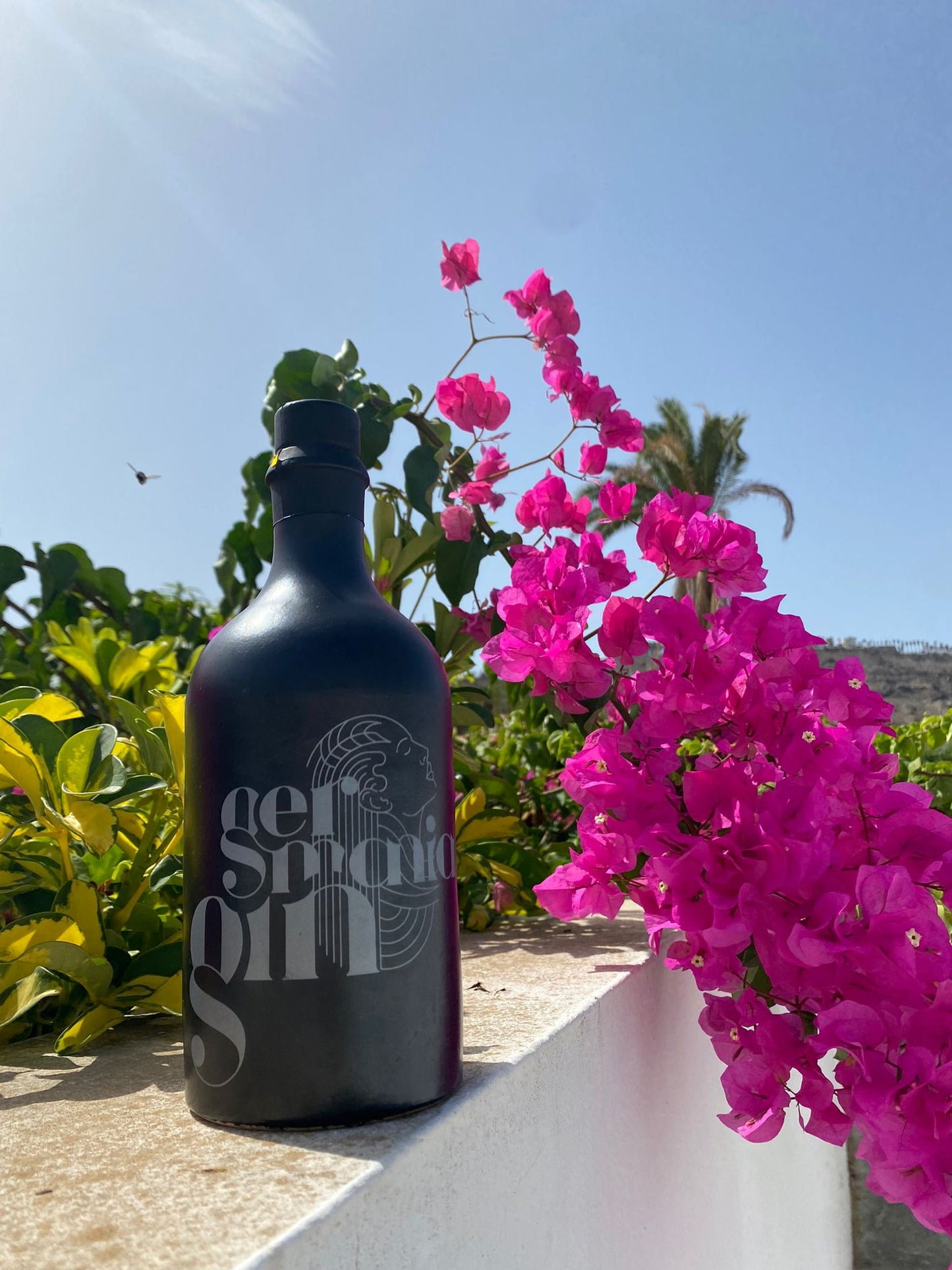 Germania Gin ab 50 Vol%